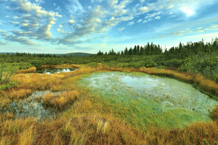 Moje Šumava | © Vladimír Kunc Moje Šumava | © Vladimír Kunc